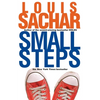 Small Steps - Paperback