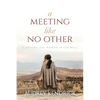 A Meeting Like No Other: A Modern-Day Woman at the Well - Paperback