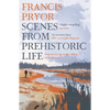Scenes from Prehistoric Life: From the Ice Age to the Coming of the Romans - Paperback