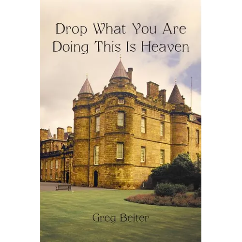 Drop What You Are Doing This Is Heaven - Paperback