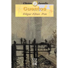 Cuentos - Paperback