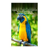 Come Fly The 7 Continents With Birds Around The World - Curious Kids Press: Kids book about animals and wildlife, Children's books 4-6 - Paperback