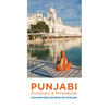Punjabi Dictionary & Phrasebook - Paperback