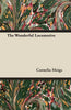 The Wonderful Locomotive - Paperback