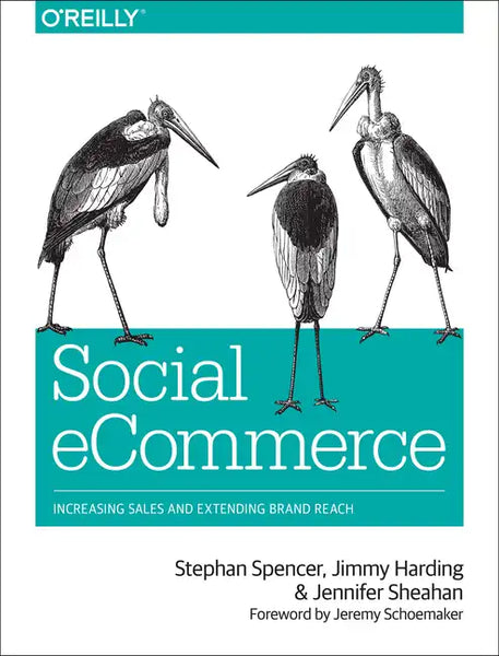 Social Ecommerce: Increasing Sales and Extending Brand Reach - Paperback