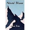 Novel Slices Issue 5 - Paperback