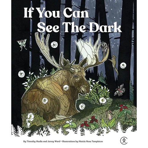 If You Can See the Dark - Hardcover