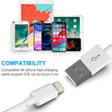 10FT Long USB Data Cable for iPhone