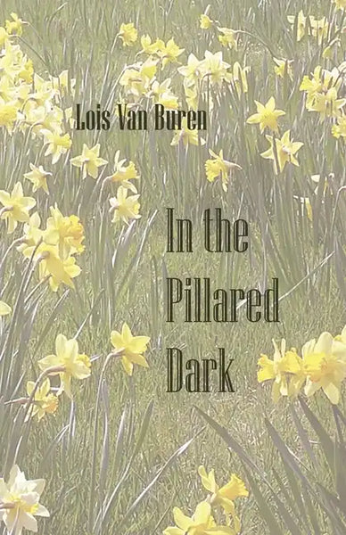 In the Pillared Dark - Paperback