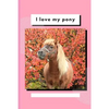 I Love My Pony: Write and Draw About Your Pony - Paperback