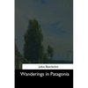 Wanderings in Patagonia - Paperback