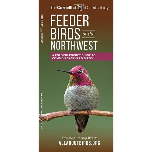 Feeder Birds of the Northwest: A Folding Pocket Guide to Common Backyard Birds - Paperback