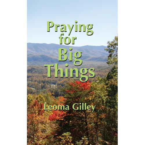 Praying for Big Things: Using God's Word to guide in Praying for the BIG issues in our world - Paperback