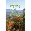 Praying for Big Things: Using God's Word to guide in Praying for the BIG issues in our world - Paperback