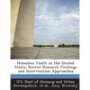 Homeless Youth in the United States: Recent Research Findings and Intervention Approaches - Paperback