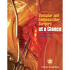 Vascular and Endovascular Surgery at a Glance - Paperback