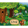 Exploring the Fascinating World of the Forest - Board Book