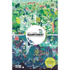 Day & Night: Rainforest - Paperback