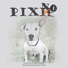 Pixno! - Paperback