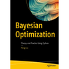 Bayesian Optimization: Theory and Practice Using Python - Paperback