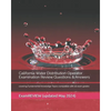 California Water Distribution Operator Examination Review Questions & Answers: covering Fundamental Knowledge Topics compatible with all exam grades - Paperback