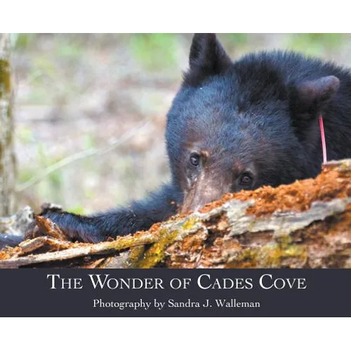 The Wonder of Cades Cove - Hardcover
