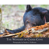 The Wonder of Cades Cove - Hardcover