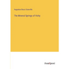 The Mineral Springs of Vichy - Paperback