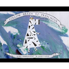 Follow Breza to Preschool - Hardcover