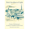 Brief Accident of Light - Paperback