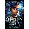 The Shadow Sister - Hardcover