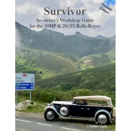 Survivor - Paperback