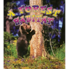A Forest Habitat - Paperback
