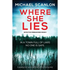 Where She Lies: A gripping Irish detective thriller with a stunning twist - Paperback
