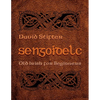 Sengoidelc: Old Irish for Beginners - Paperback