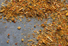 Thai Seasoning