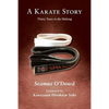 A Karate Story: Libraries & Colleges Edition - Paperback