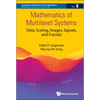 Mathematics of Multilevel Systems - Hardcover