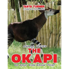 THE OKAPI Do Your Kids Know This?: A Children's Picture Book - Paperback