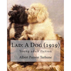 Lad: A Dog (1919). By: Albert Payson Terhune: Young adult fiction - Paperback