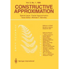 Constructive Approximation: Special Issue: Fractal Approximation - Paperback