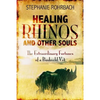 Healing Rhinos and Other Souls: The Extraordinary Fortunes of a Bushveld Vet - Paperback