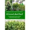 #Growlikechef: a complete beginners guide to growing autoflowering marijuana at home - Paperback