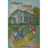 A History of Saints - Paperback