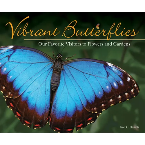 Vibrant Butterflies: Our Favorite Visitors to Flowers and Gardens - Paperback