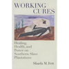 Working Cures: Healing, Health, and Power on Southern Slave Plantations - Paperback