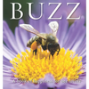 Buzz: A Book of Happiness for Bee Lovers - Hardcover