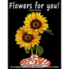 Flowers For You!: Adults Coloring Book for Beginners, Seniors and people with low vision - Paperback