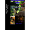 On Low Budget Film Making: Digital Film Making Interviews - Paperback