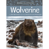 Animals Illustrated: Wolverine - Hardcover